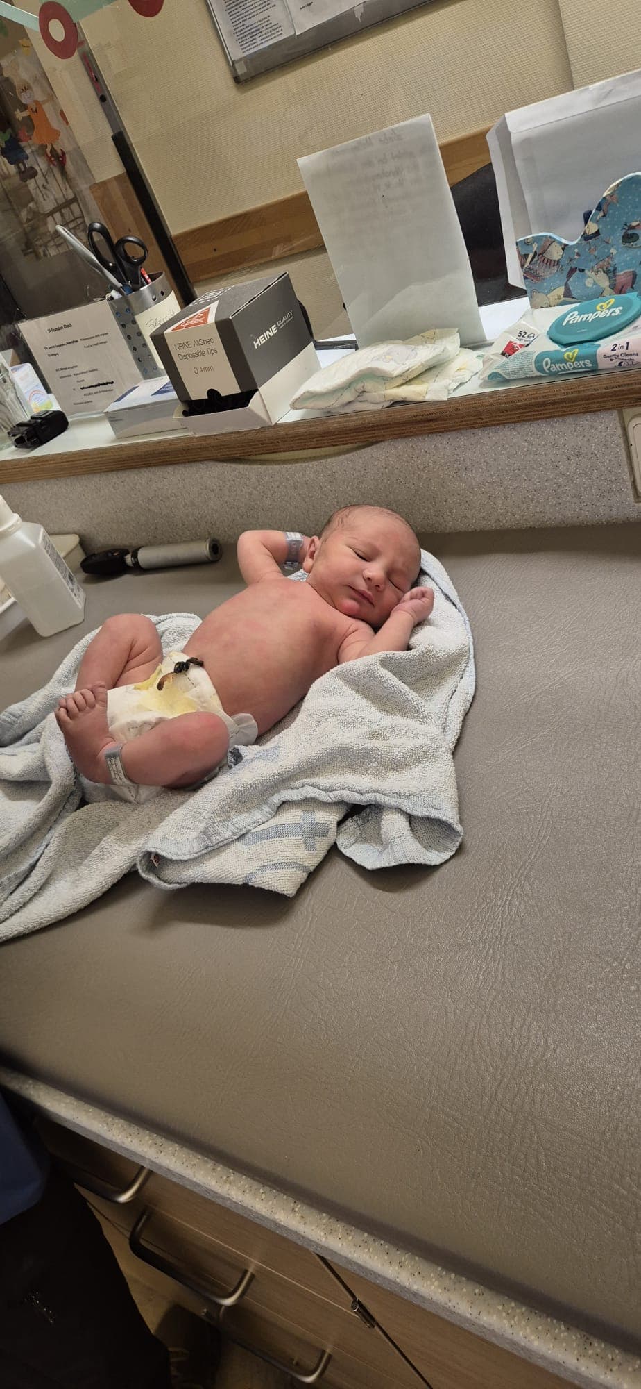 مايسترو تامر