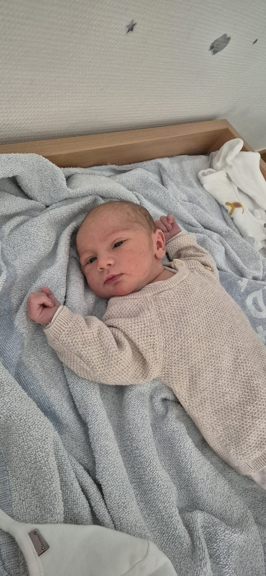 WhatsApp Image 2026-03-14 at 11.17.22